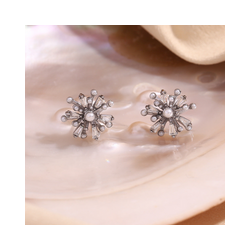 Arete Jaque silver