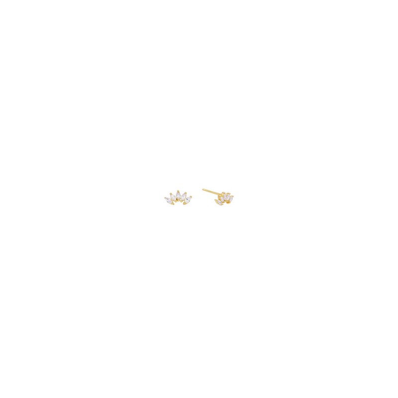 Arete Freesia bco