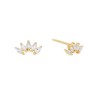 Arete Freesia bco