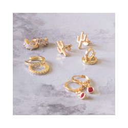 Aretes de cactus