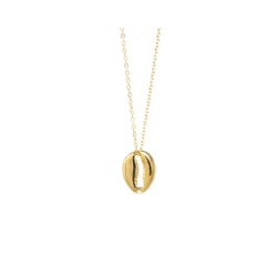 Conchita Cowrie