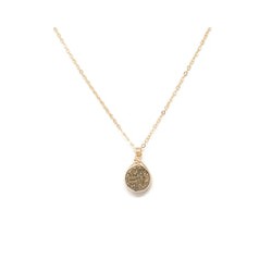 Dije druzy envuelta