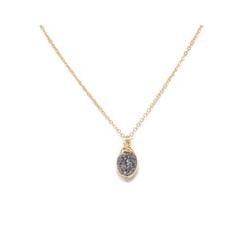 Dije druzy envuelta