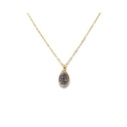 Dije druzy envuelta
