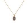 Dije druzy envuelta